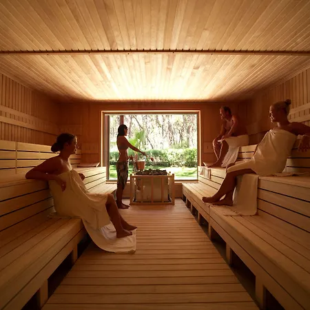 Robinson Pamfilya 4* סייד