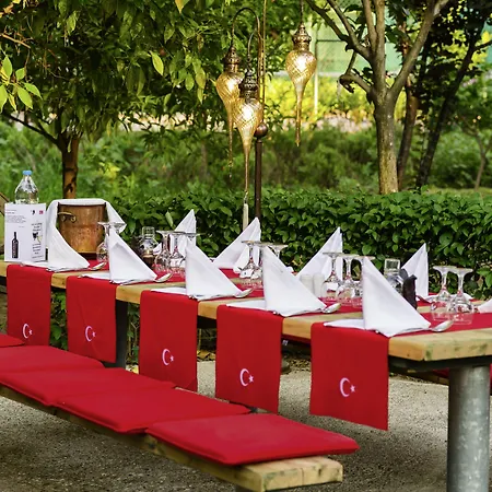 Robinson Pamfilya - 4*